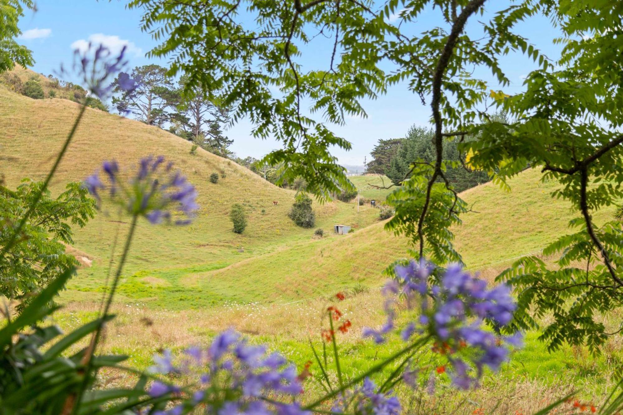 Raglan Country Lodge 외부 사진
